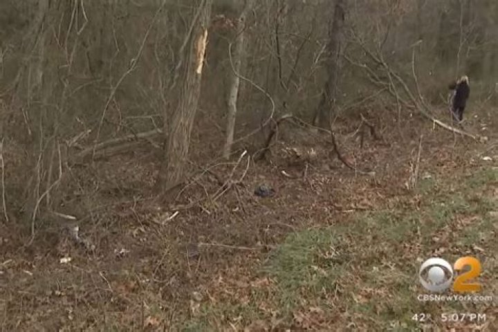 'It's a tragedy': 3 Long Island teens die in horrific crash after unlicensed 16-yr-old lost control