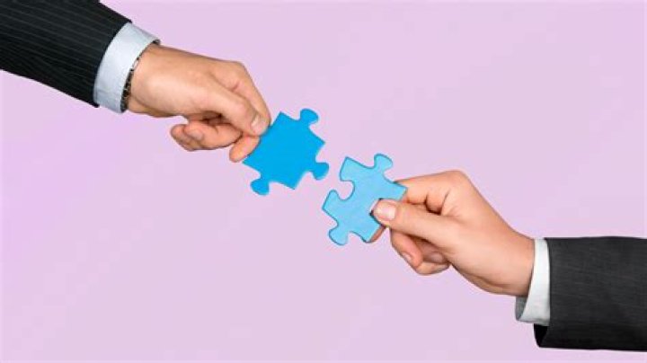 A Journey Of Partnerships And Heartbreaks