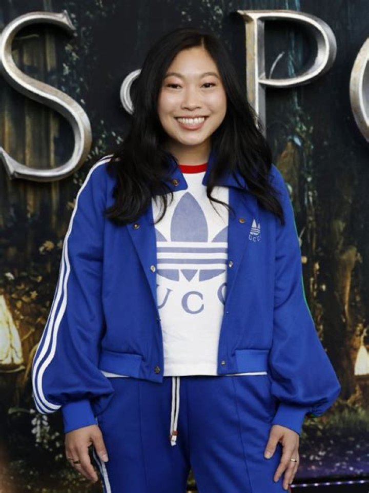 Awkwafina's New Show Is Based on Her Life Before She Became a Household Name