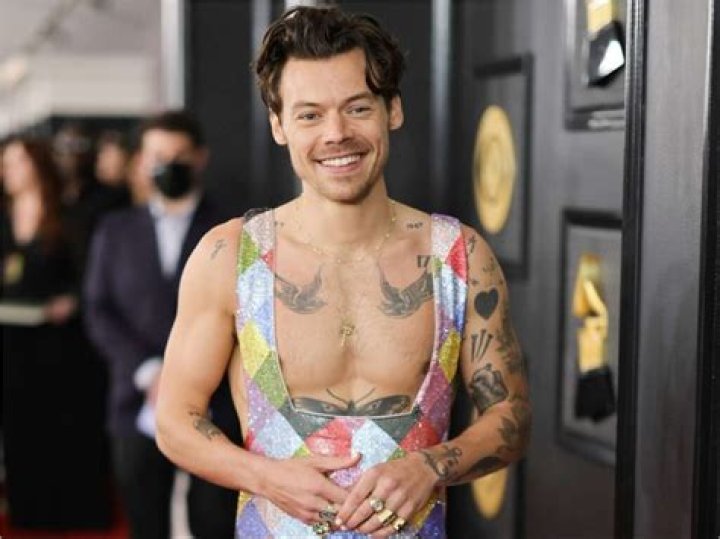 Harry Styles Has Four Nipples and We've Got Proof