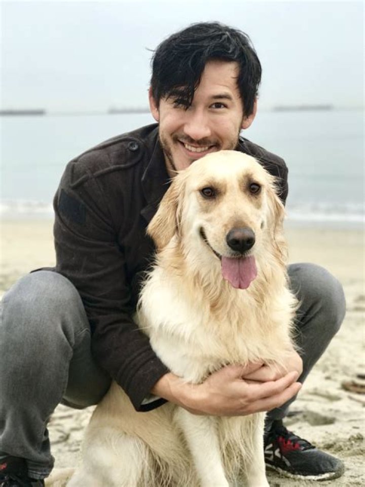 How Old Is Chica From Markiplier? Celebrity ·