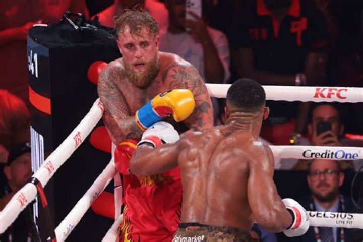 Is Jake Paul Fighting Andrew Tate? Here's What We Know