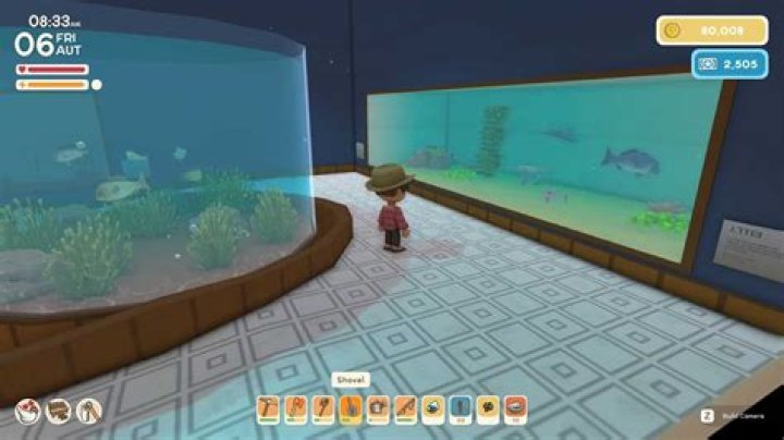 June Is Shark Season on 'Animal Crossing' Here Are All the New Fish and Bugs Coming