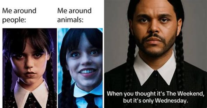 These Woeful Wednesday Addams Memes Will Fill You With Despair