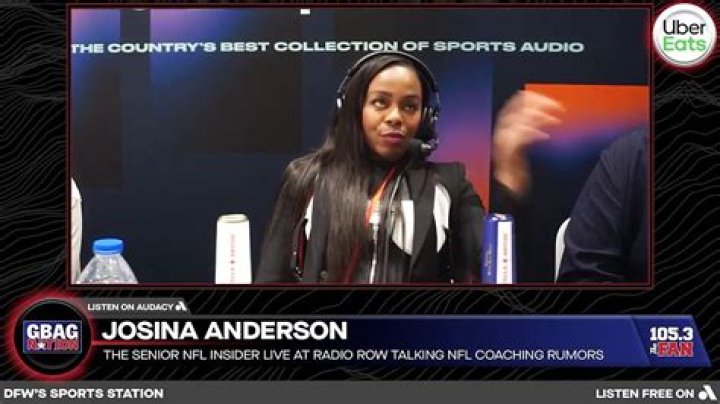 VlogJam | Josina Anderson Net Worth & Salary