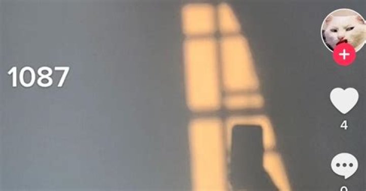 What Is the Meaning of the Code 1087 on TikTok? Details