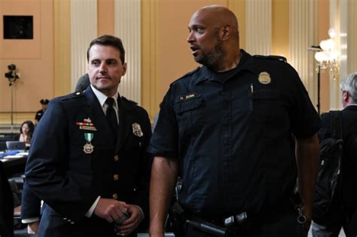 Who Is Officer Daniel Hodges? Everything You Need To Know