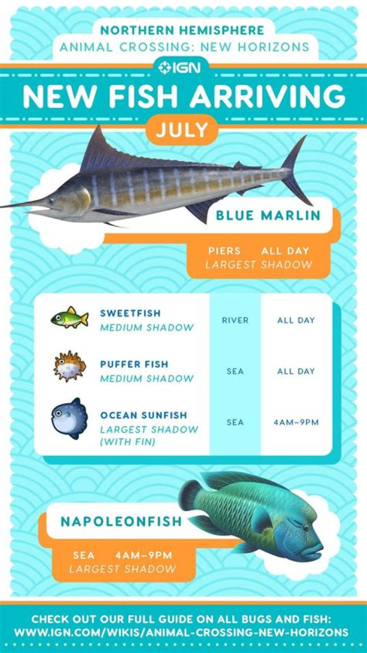 You Can Catch More Than Cicadas in 'ACNH' With July's New Bugs and Fish